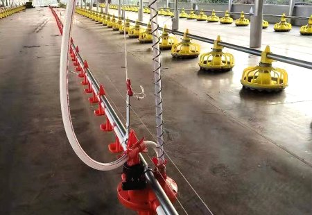 Waterline local example