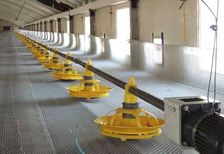 Example of duck material line