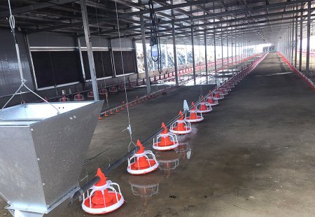 Material line example