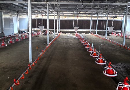 On-site examples of material line and water line