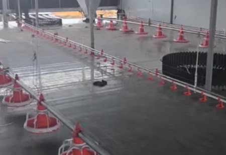 Farm site installation video