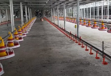 On-site examples of material line and water line