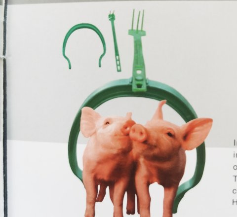 Insemination auxiliary circle